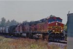 BNSF 4428 West